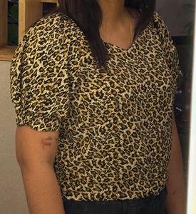 Cheetah Print Crop Top