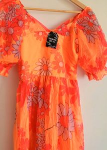 Organza Fabric Gown