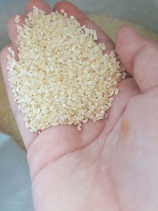 Premium White Rice-Fresh &amp; Delicious!