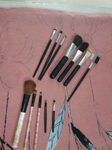 Makeup Brush Set - Variety of Styles