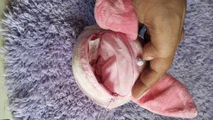 Disney Winee The Pooh Piglet Head Pouch