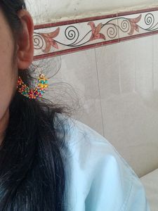 Pair Of Multiple Color Earring