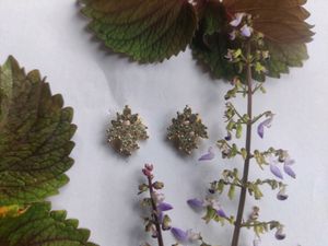 Combo Of 5 Beautiful Studds