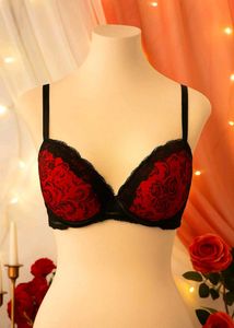 🇳🇿💫 Heavy Paded Sexy Bra Imported Stuff