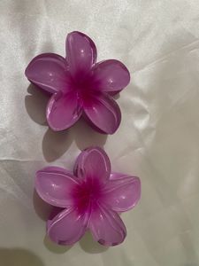 Hair Clip