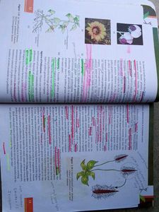 Biology Textbook for Class XII