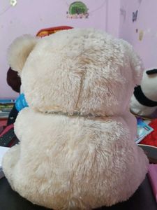 Cute Cream Teddy Bear
