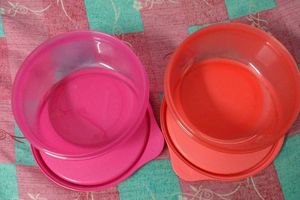 Tupperware Bowls (Set of 2)