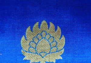 Red &amp; Blue dual-tone soft silk saree ♥️💙