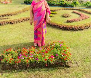 Uppada Saree