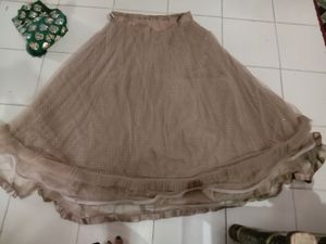 Lehnga  Choli Dress