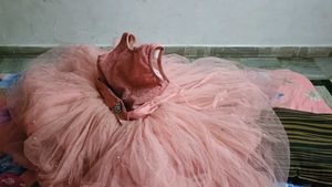 Kid Gown Very Beautiful