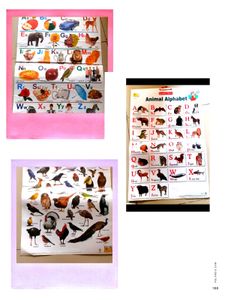 Educational Animal Alphabet Posters