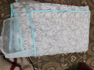 light green net chikan saree
