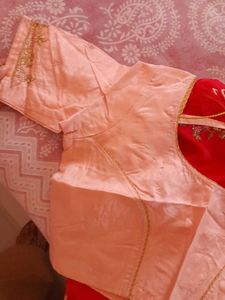 Pink Embroidered Saree