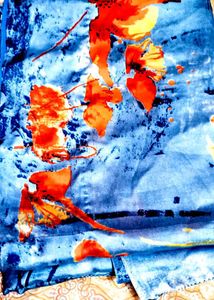 2Silk Saree With Free Sare