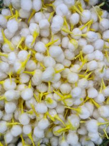 Homemade Cotton Wicks 1000pcs