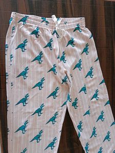 Dinosaur Print Pajama Pants