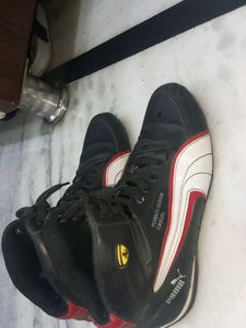 stylish shoes
