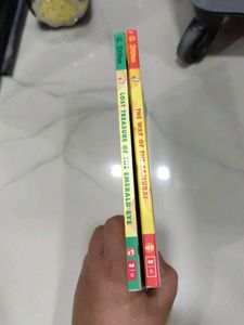 Geronimo Stilton Books Set Of Two