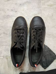 Black Shoe