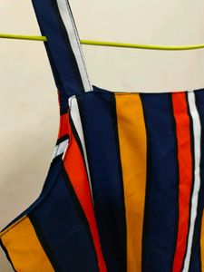 Strips Lining Coloured Dress