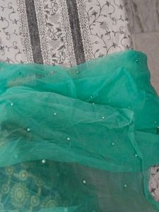 Elegant Lehenga Choli Set