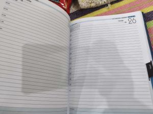 Brand New Diary