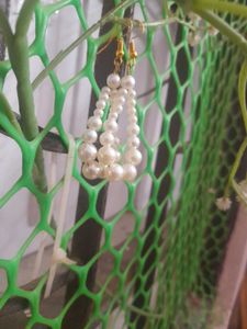 Pearl Drop Earrings