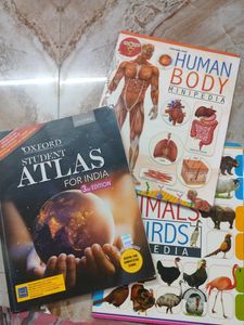 Educational Book Bundle