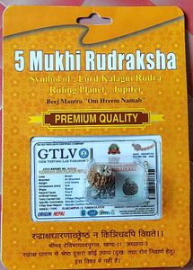 5 Mukhi Rudraksha Locket