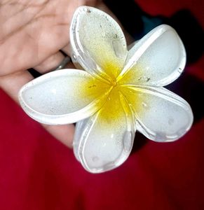 Cute Flower Hair Claw Clip Set