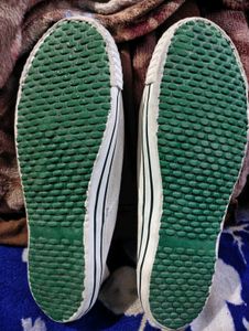 Apollo Shoes - Classic Canvas Sneakers