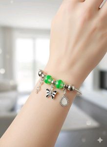 Beautiful Charms Pandora Bracelet