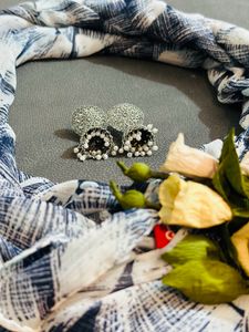Aesthetic Stole Paired With Oxidised Earrings