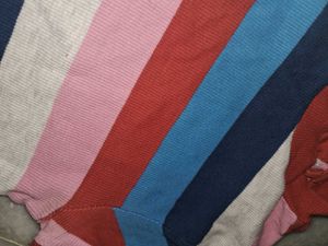 Viral Multi Colored Strip Fitted Top