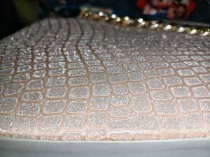 Beautiful Shimmer Bag