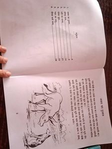 Children Storybooks
