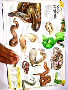 General Knowledge Genius Encyclopedia