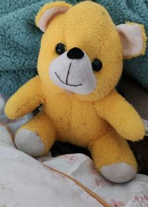 Small Teddy Bear