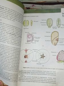 Biology + Chemistry Book
