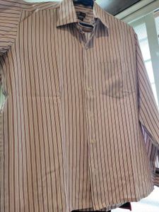 Daily Wear Shirt