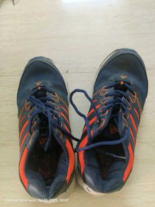 Adidas Sneakers
