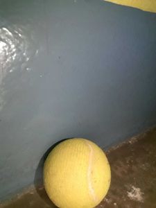Used Hard Tennis Cricket Ball