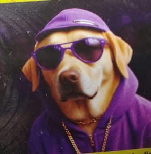 Retro Sunglasses For Pets