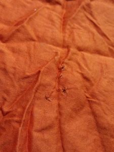 Short Kurta ☺Patiyala Salwar..