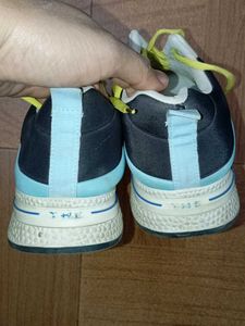 Mens Multicolor Shoe