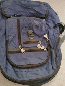 Stylish Blue Backpack