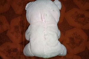 Teddy Bear