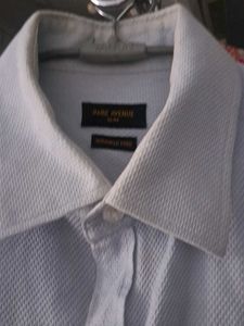 Park Avenue Light Blue Formal Shirt